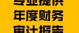 財(cái)務(wù)報(bào)表審計(jì)報(bào)告的費(fèi)用是多少？
